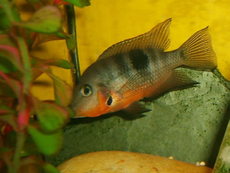 S5000123.jpg