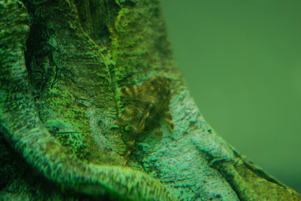 DSC_0025.jpg
