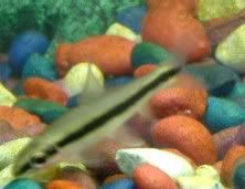 2005_0130_204406.jpg
