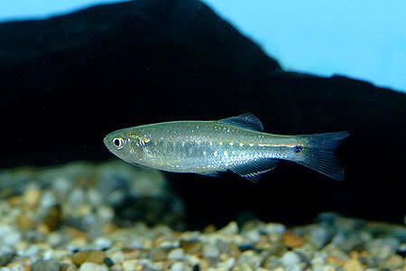 6e376d26.jpg