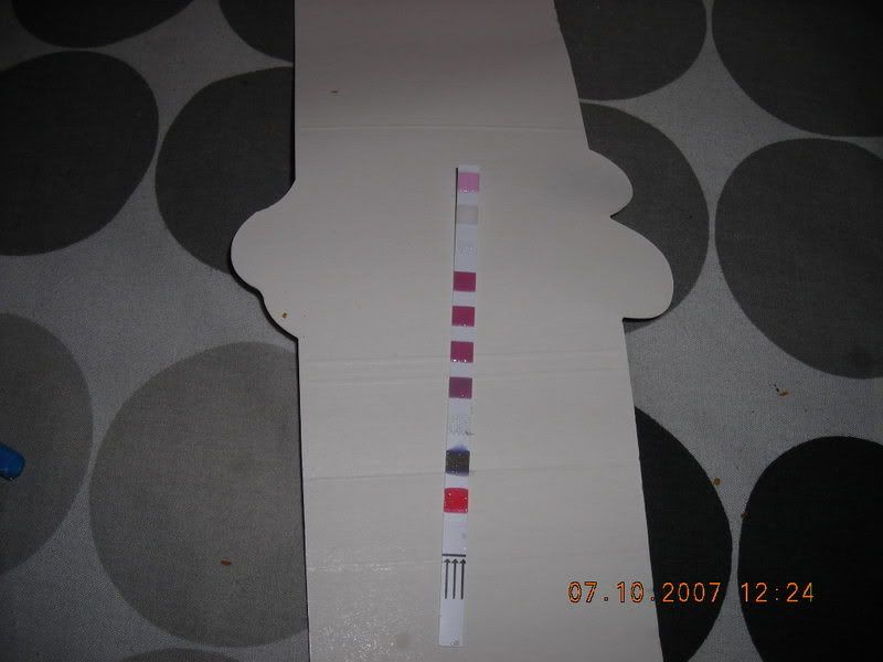 DSCN0224.jpg