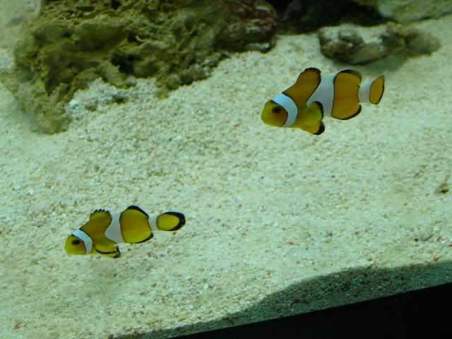 P1040097.jpg