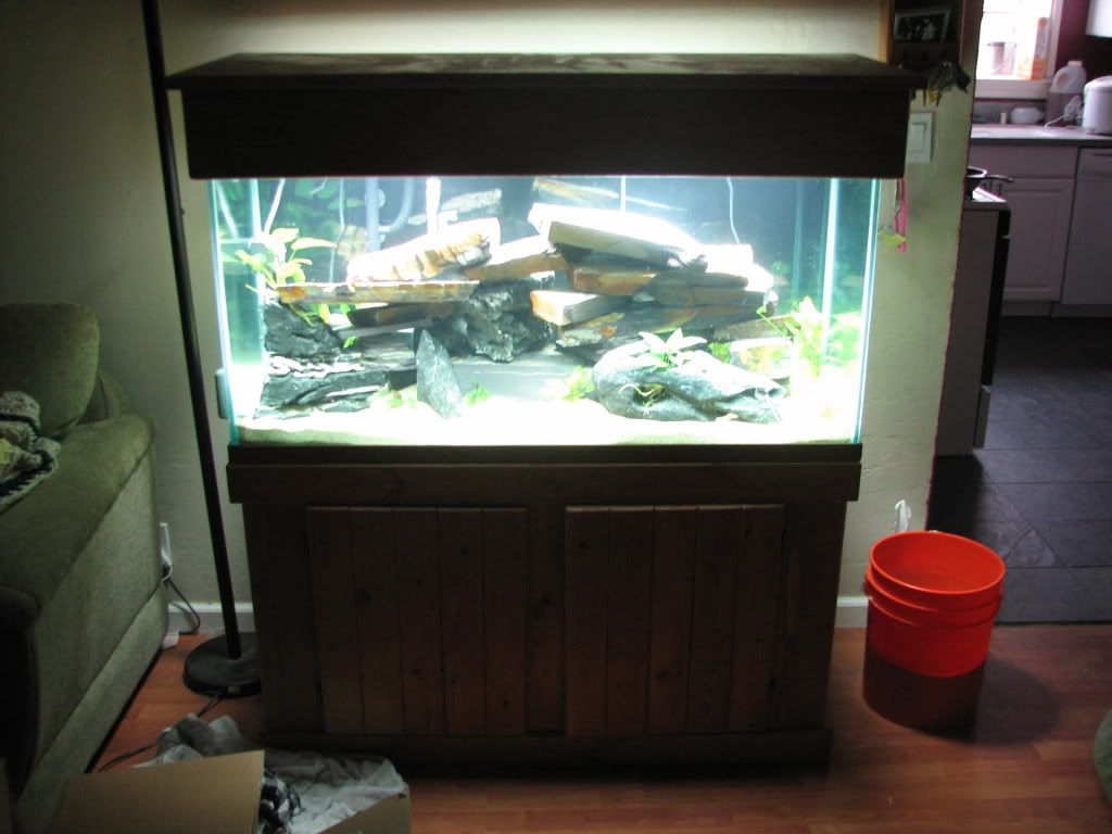 FishTank036.jpg