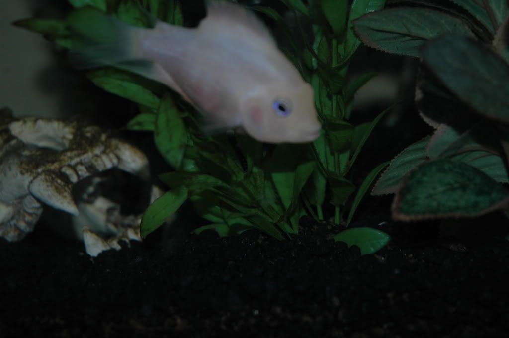 DSC_4248.jpg