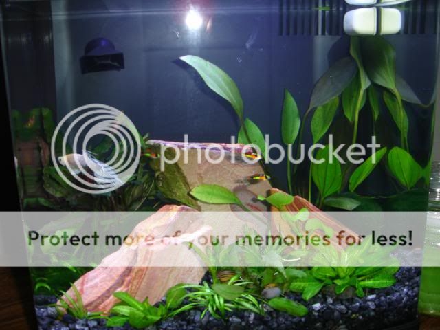 DSC04176.jpg