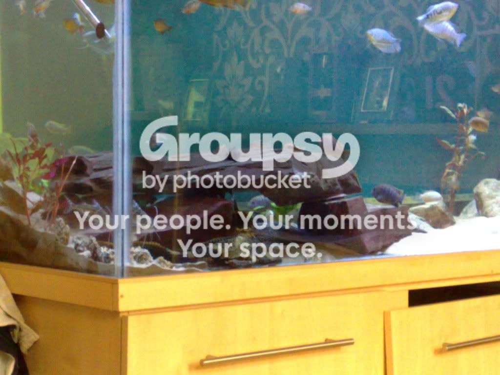 12062009353.jpg