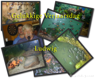 Ludwigfull.png