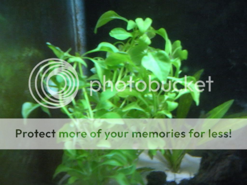 augvacation094.jpg