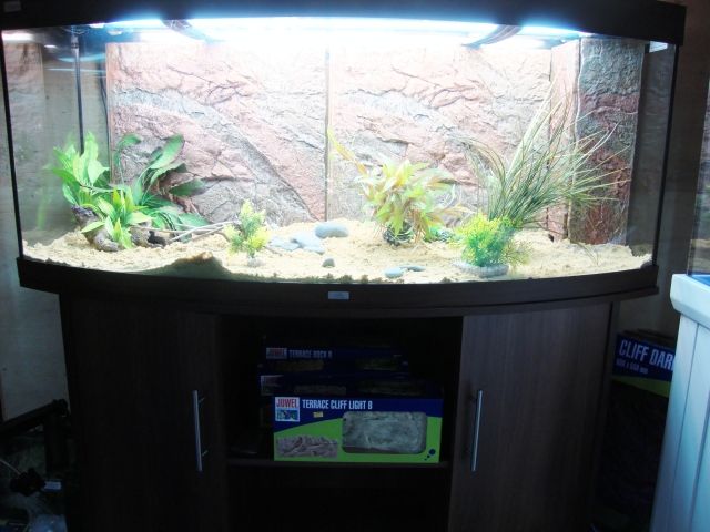 DSC01390.jpg
