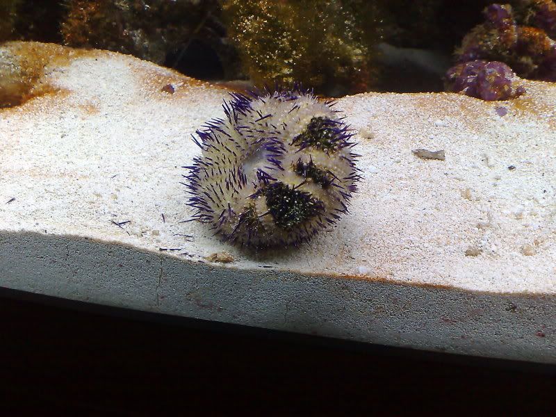 07082009092.jpg