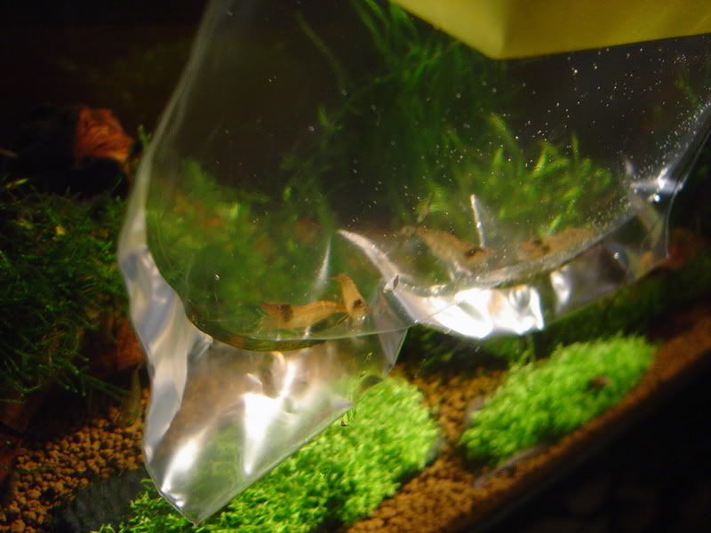 DSC02166.jpg