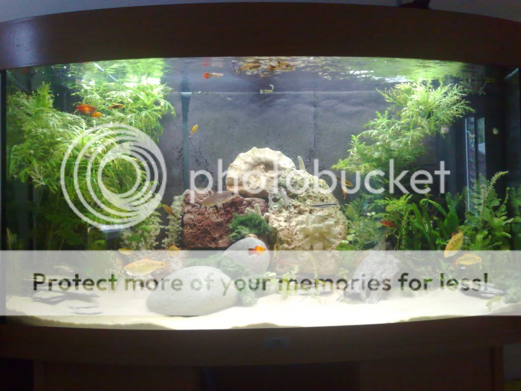 03062009727.jpg