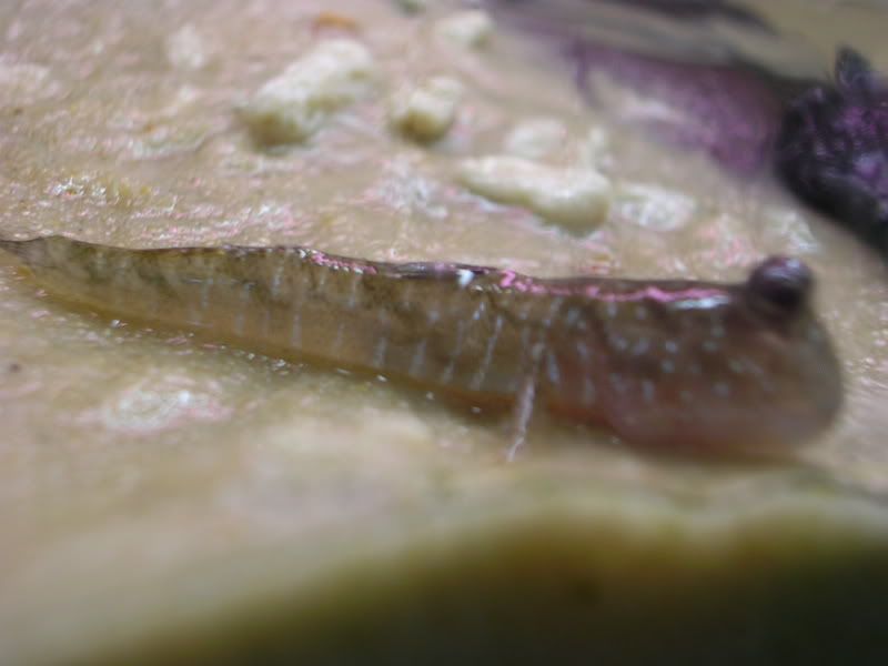 DSCN2982.jpg