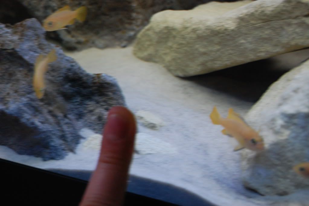 DSC_0232.jpg