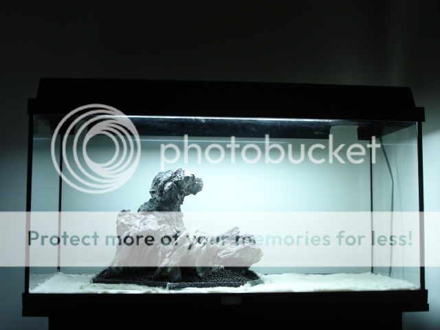 DSC03436.jpg