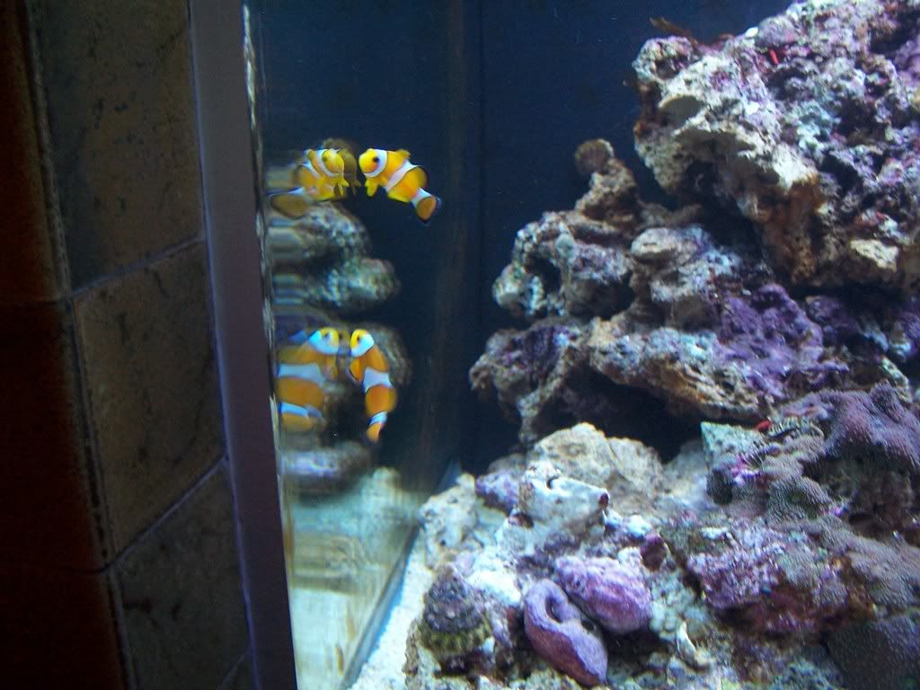 102_4947.jpg