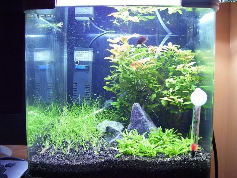 lilltank5.jpg