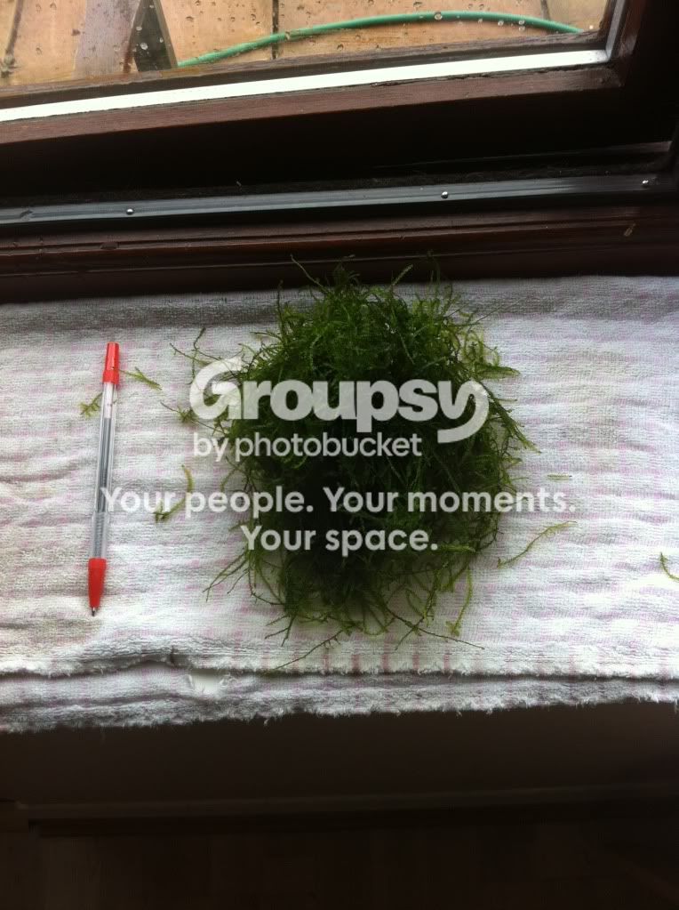 photo-24.jpg