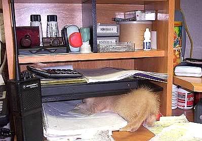 100_2286.jpg