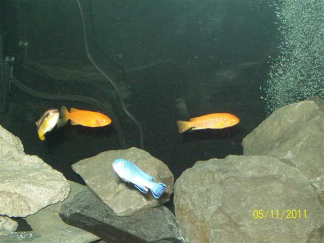 102_3690Small.jpg