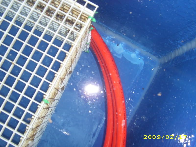 001-1.jpg