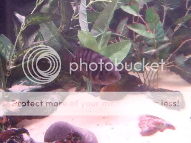 2006_1112PicsSundays0010.jpg