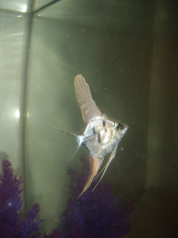 STA42590.jpg