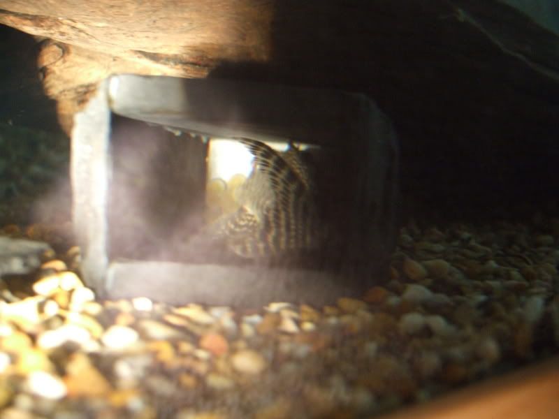 DSCF0768.jpg