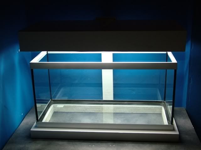 DSCF0769.jpg