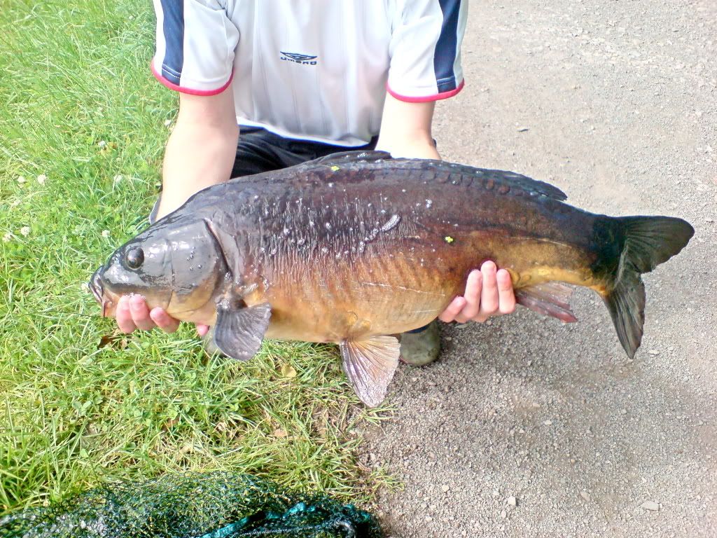 canalmirrorcarp26thjune07.jpg