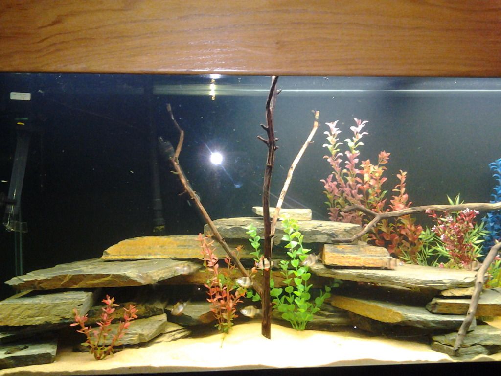 2013-01-20114020.jpg