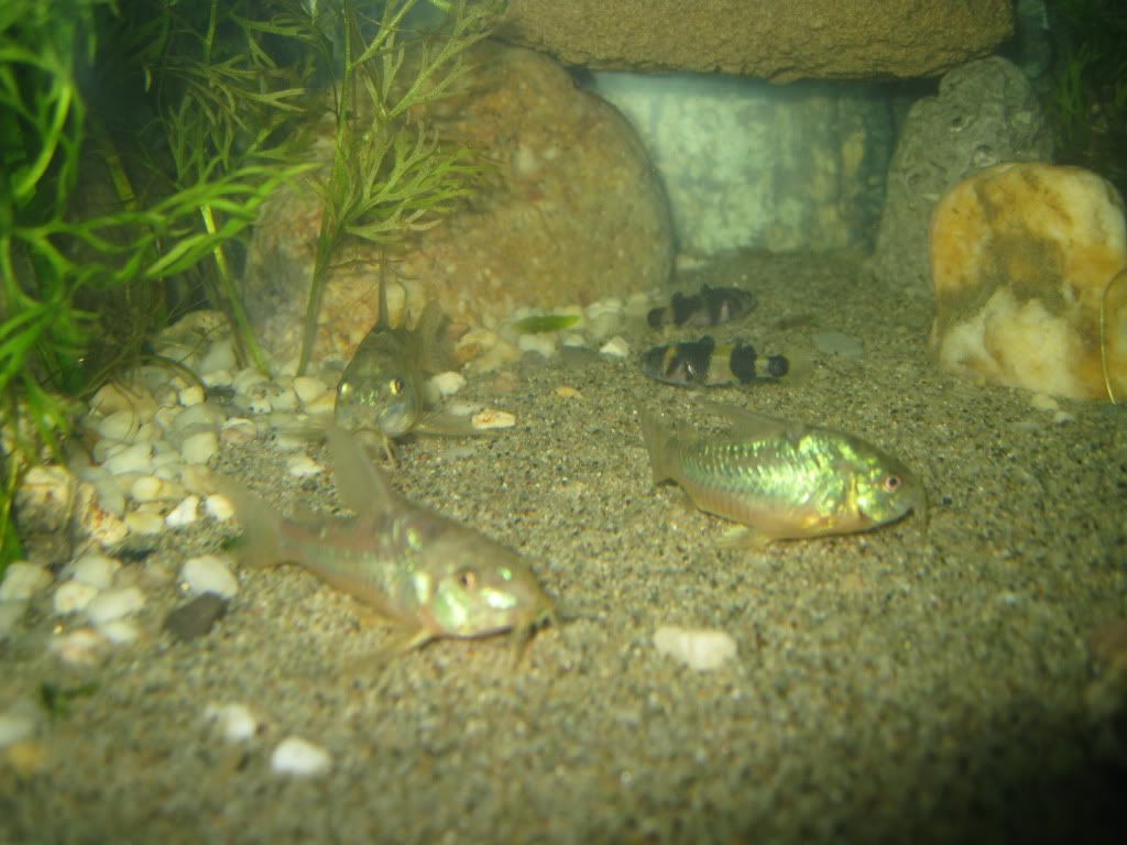 IMG_5479.jpg