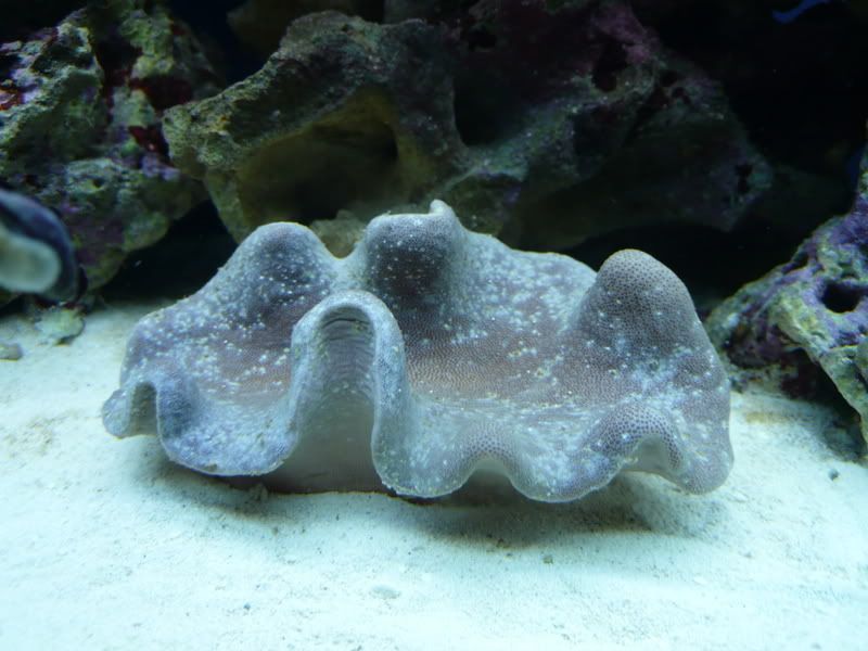 marinetank240308077.jpg