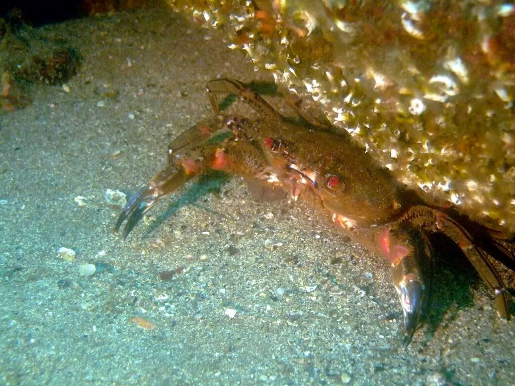 DSCF5675.jpg