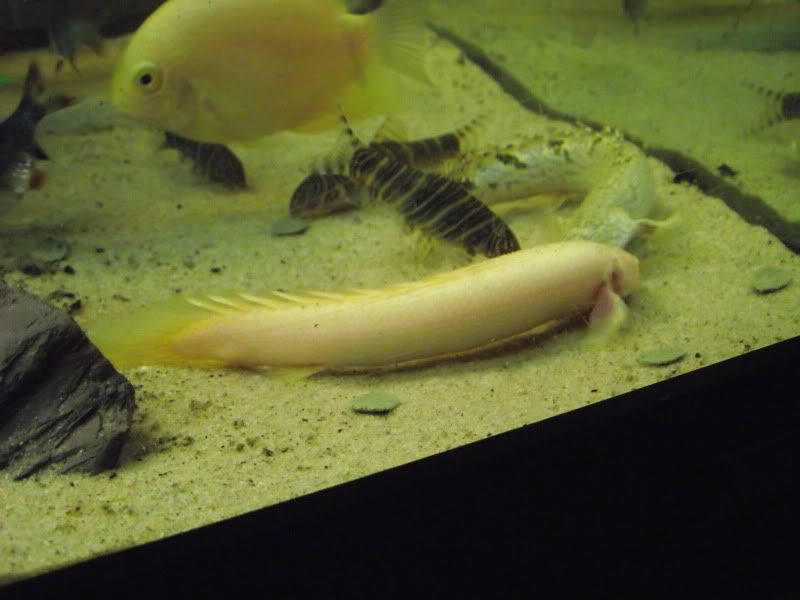 DSCF1598.jpg