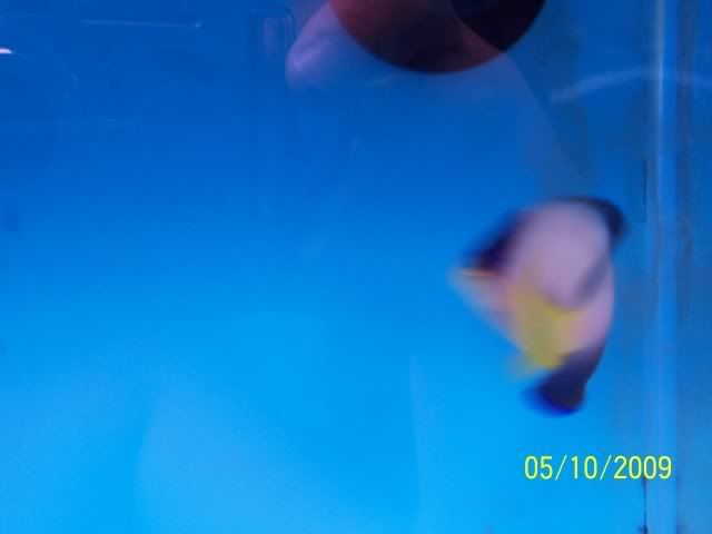 100_6134.jpg