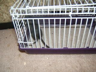 DSCF1394.jpg