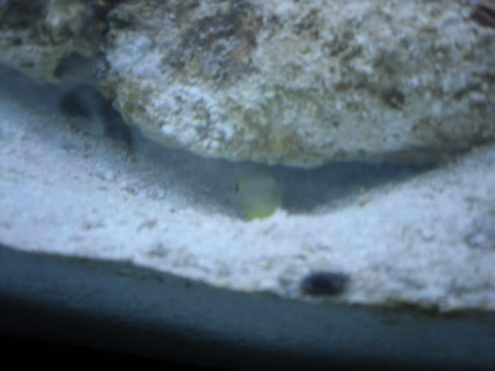 SDC10301.jpg