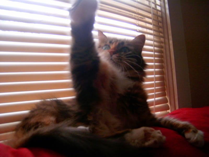 Picture143.jpg