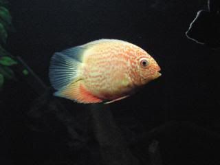 DSCN1789.jpg