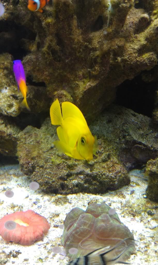 IMAG0608.jpg