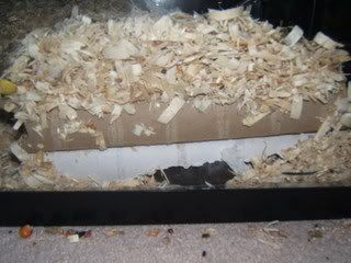 DSCF1369.jpg