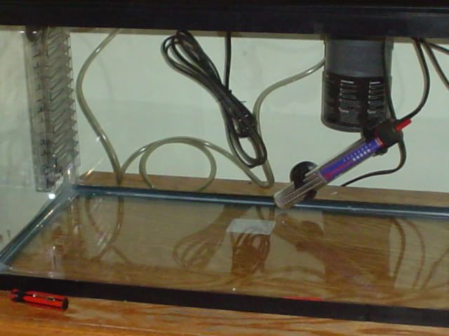Picture068.jpg