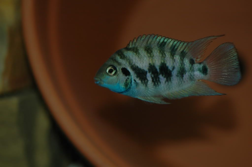 DSC_0210.jpg
