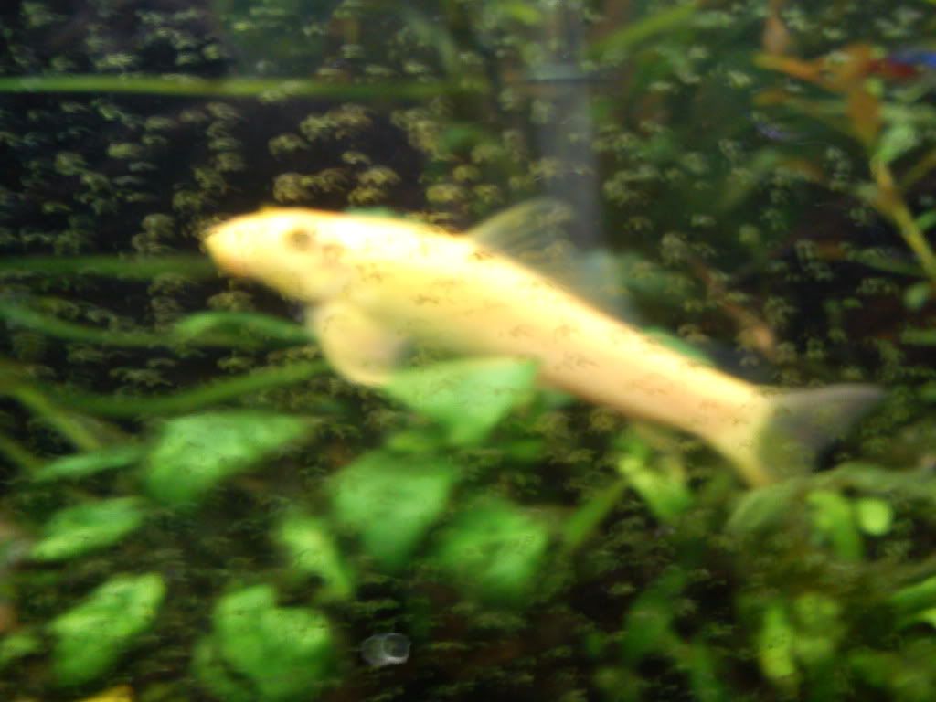 DSC00769.jpg