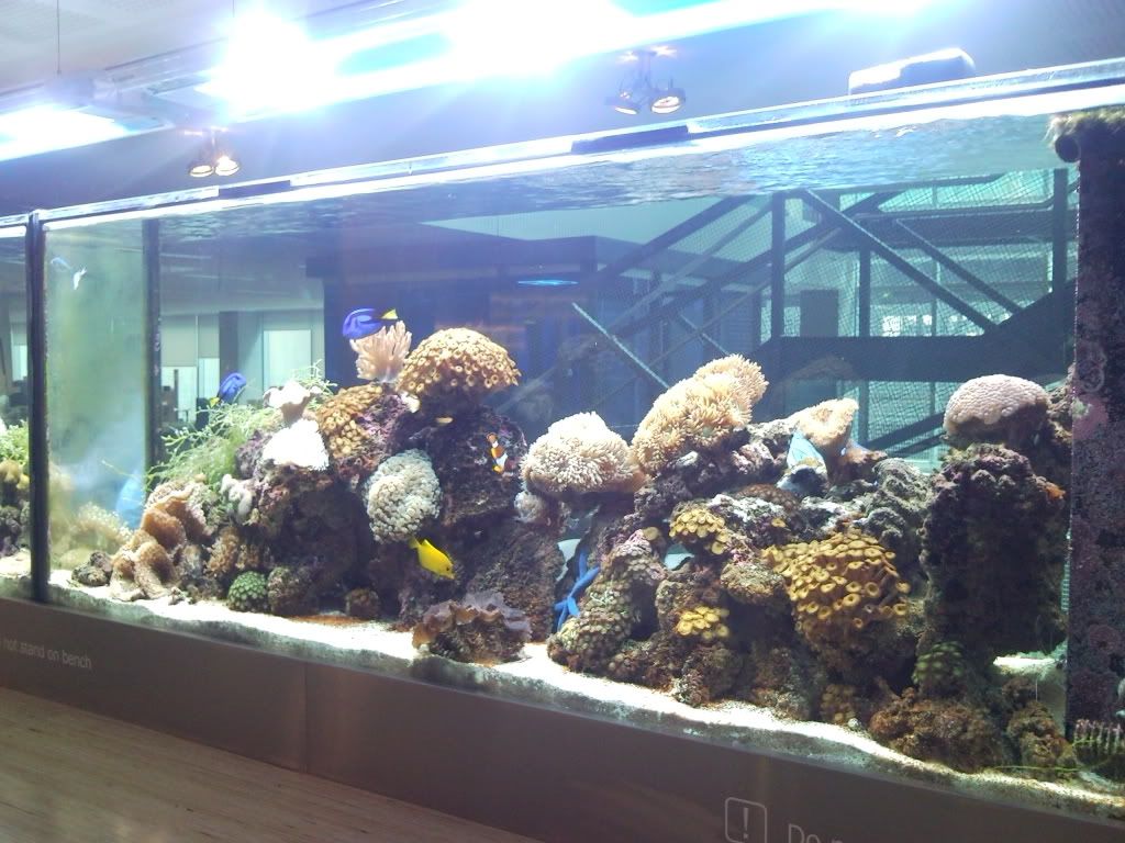 SNC00118.jpg