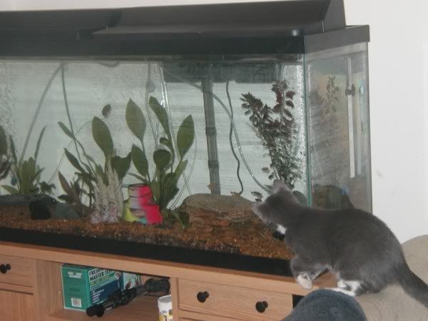 fishingleeloo.jpg
