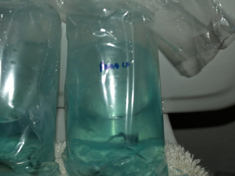 PA110123.jpg