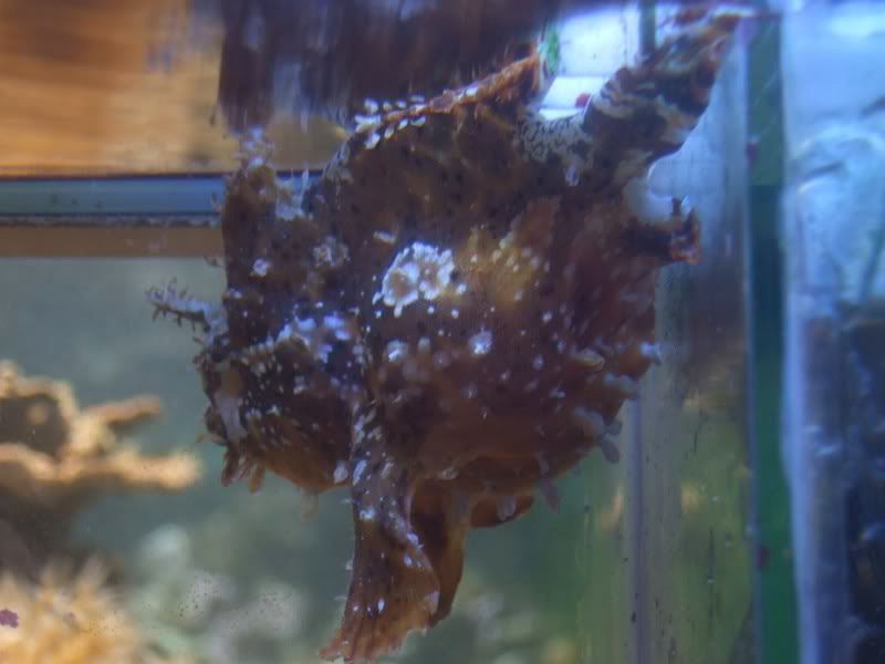 DSCF4215.jpg