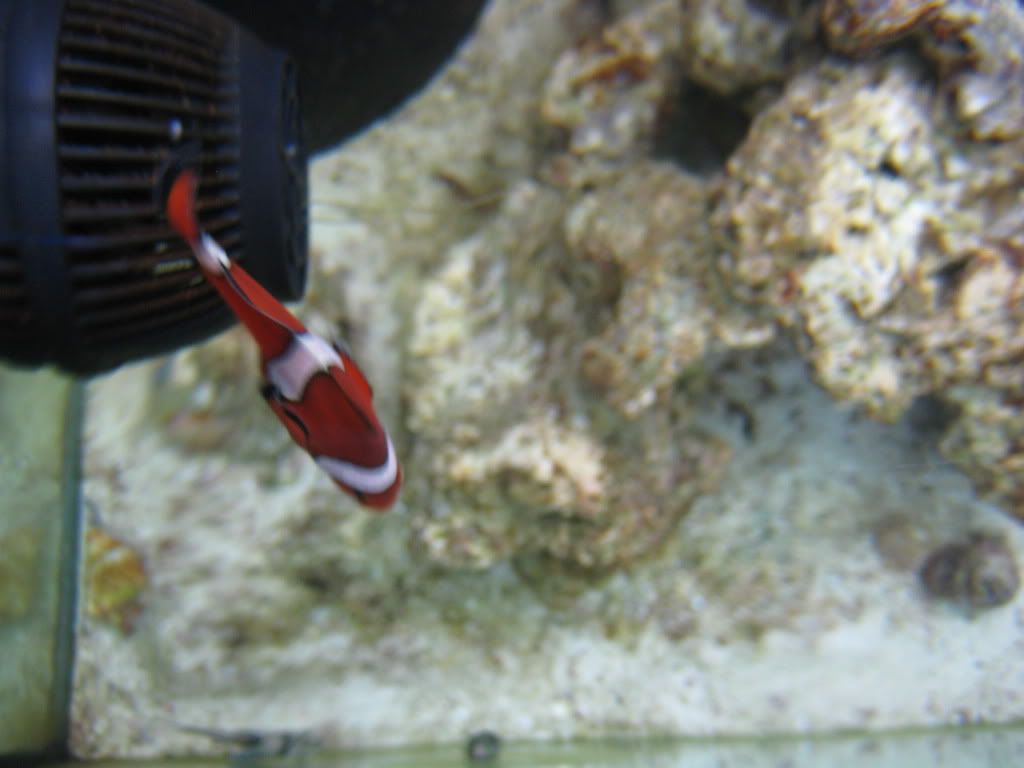 IMG_2868.jpg